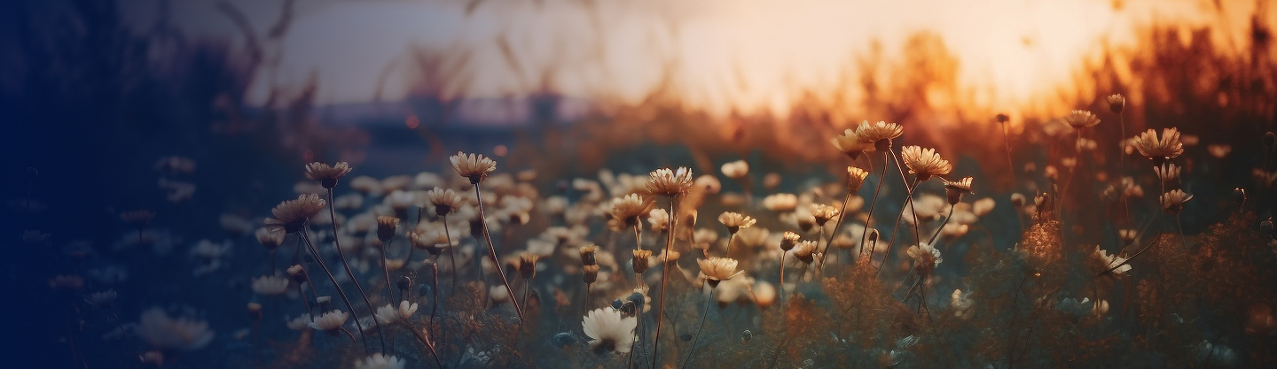 sapat-djetinjstva-hero